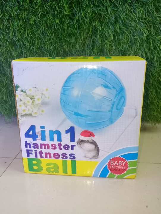 CARNO_HAMSTER_FITNESS_BALL