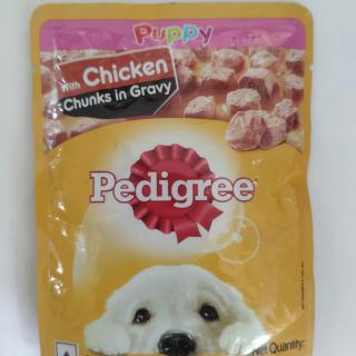 PEDIGREE_WET_PUPPY_CHICKEN_70_GM